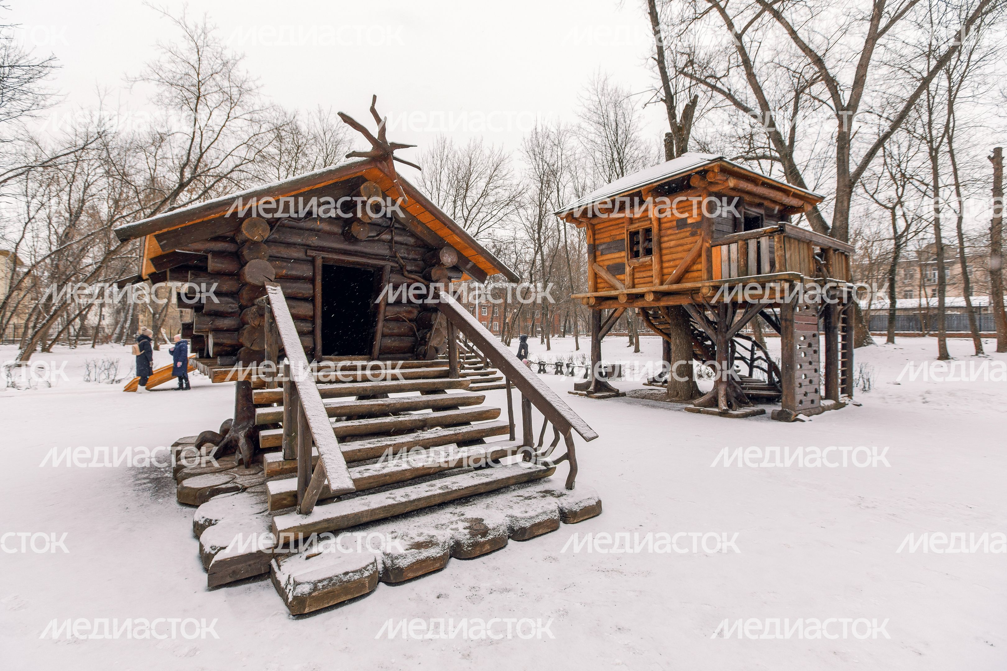 Зимний Щелковский городской парк культуры и отдыха Зимний Щелковский городской парк культуры и отдыха