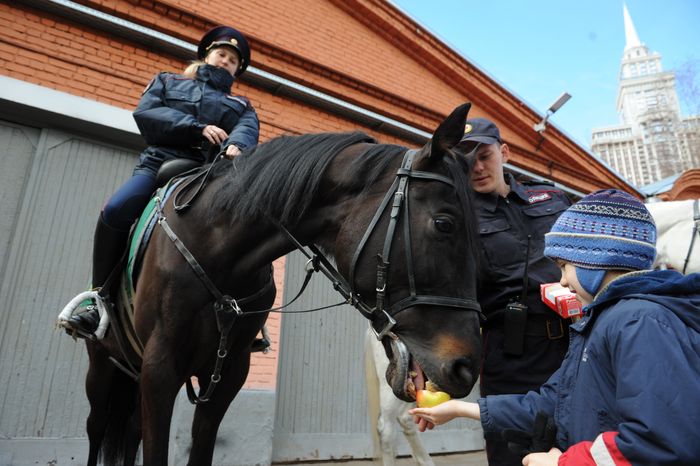 Конная полиция Москвы