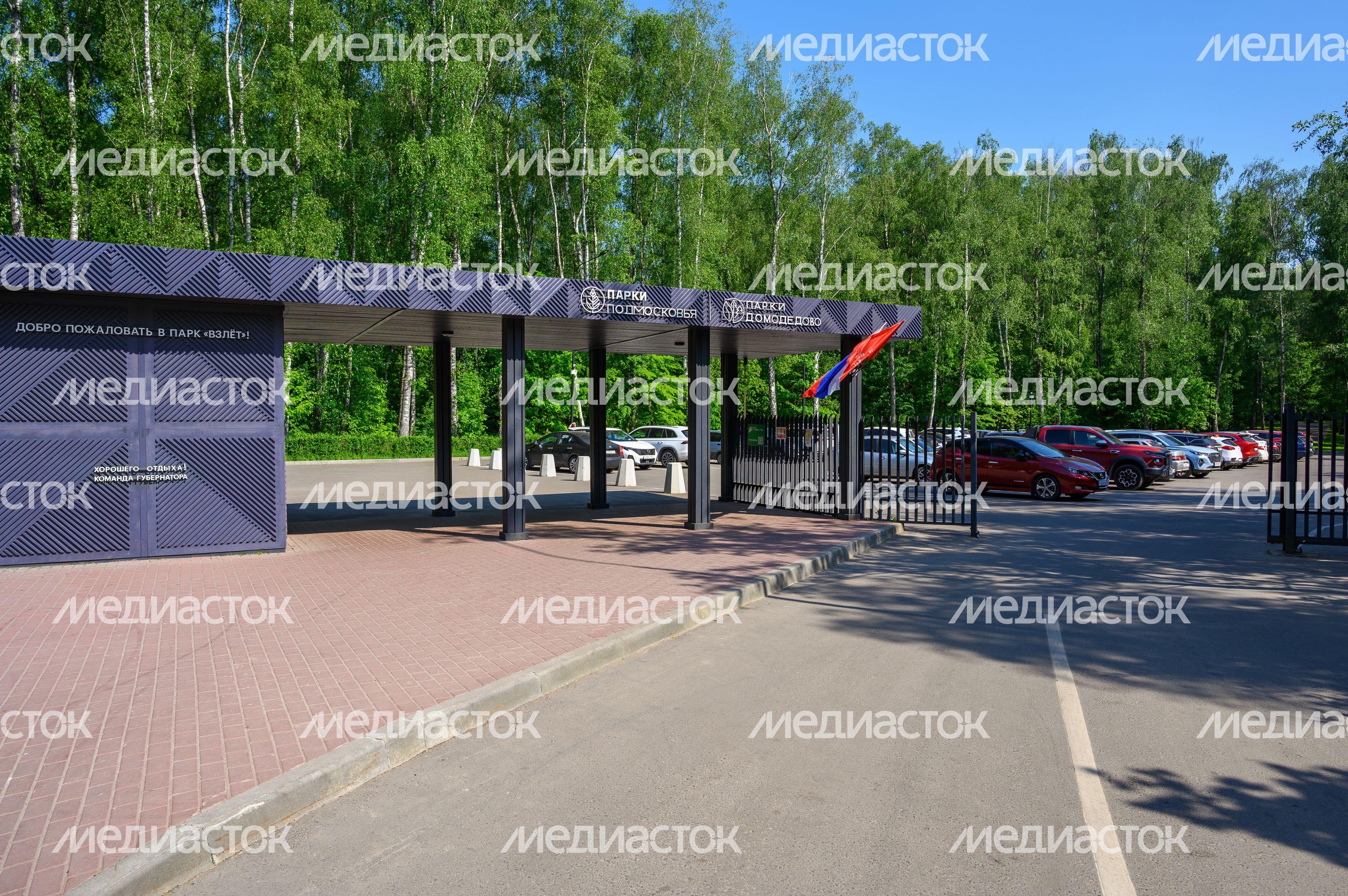 Выездная акция по чипированию и вакцинации животных в парке «Взлет» Домодедово