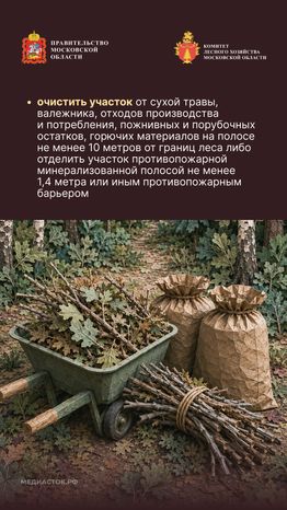 Живете рядом с лесом вертикаль 04