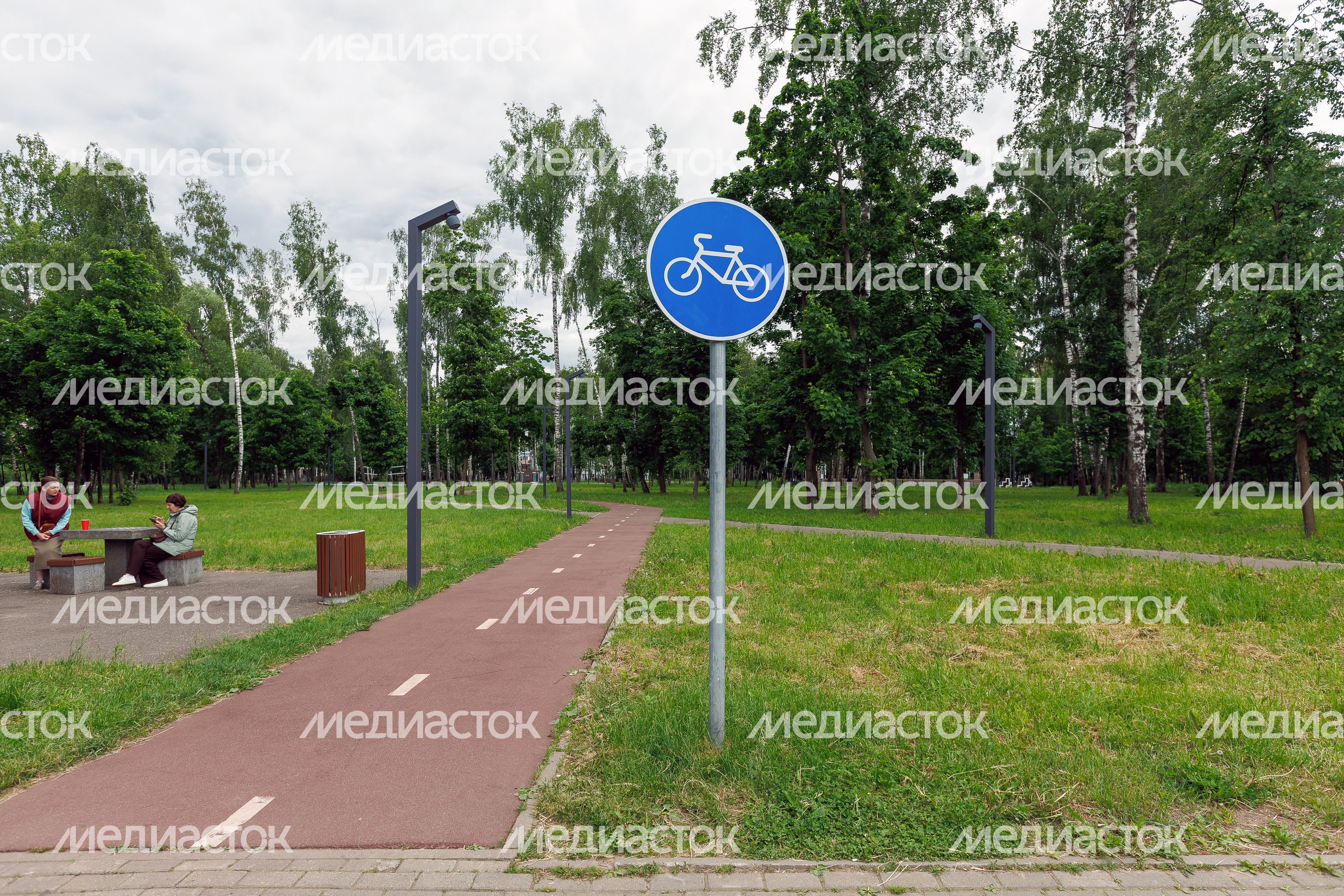 Лето в Городском парке культуры и отдыха в Ивантеевке Пушкинского округа Лето в Городском парке культуры и отдыха в Ивантеевке Пушкинского округа