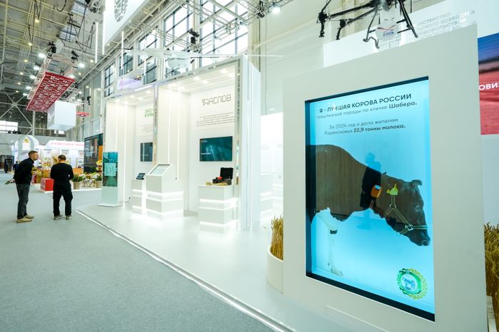 Стенд Подмосковья на выставке "Золотая осень - 2025"