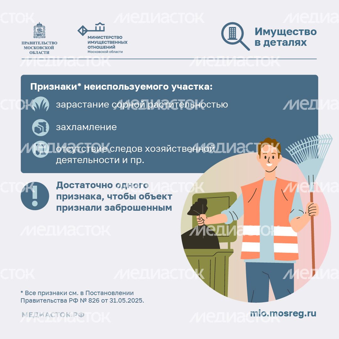 Освоение участка за 3 года квадрат 03 Освоение участка за 3 года квадрат 03