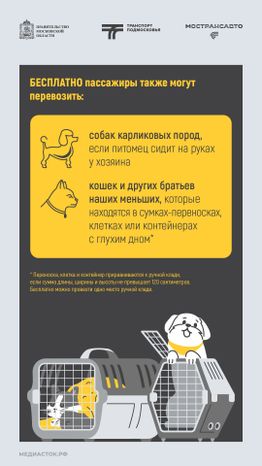 Правила перевозки животных вертикаль 04