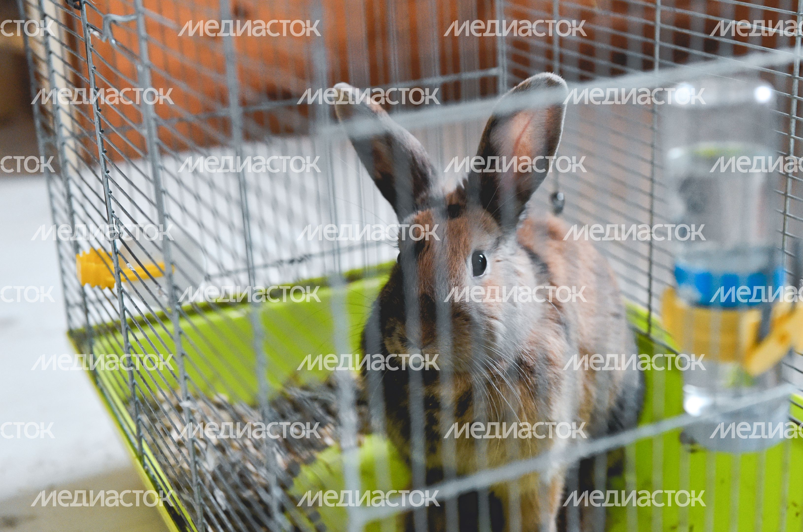 Дом тиктокеров в Подмосковье
