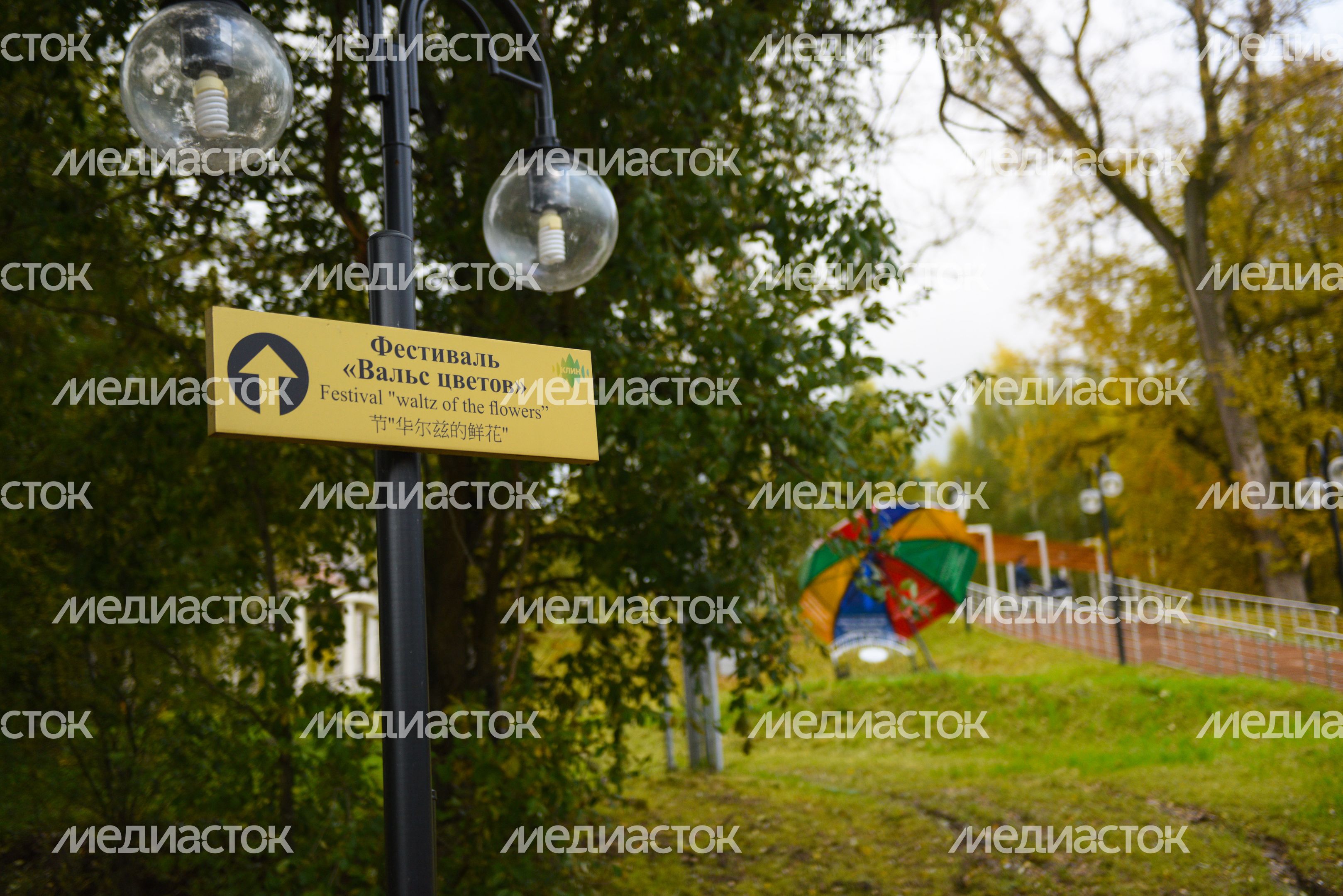 Интервью с главой городского округа Клин Аленой Сокольской