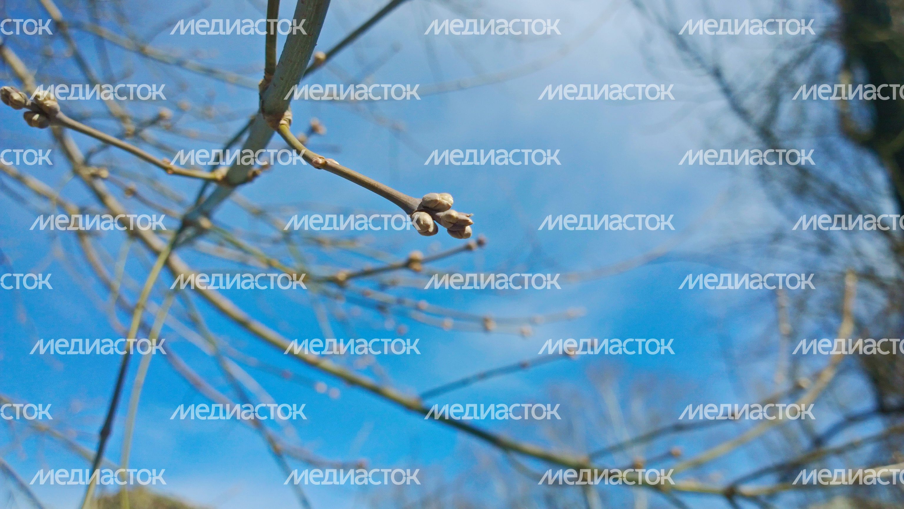 Весна в Лобне