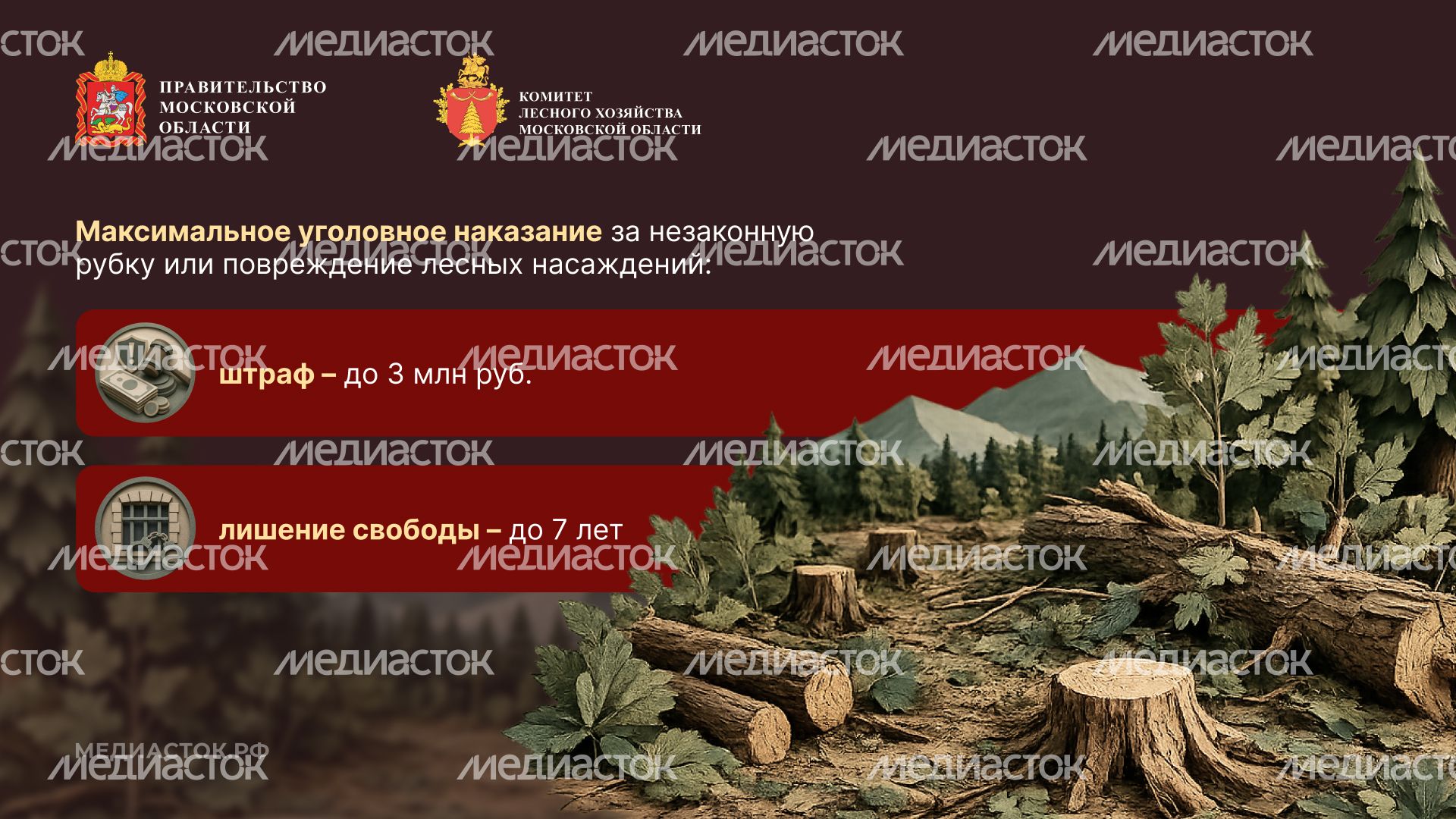 Незаконная рубка горизонталь 08