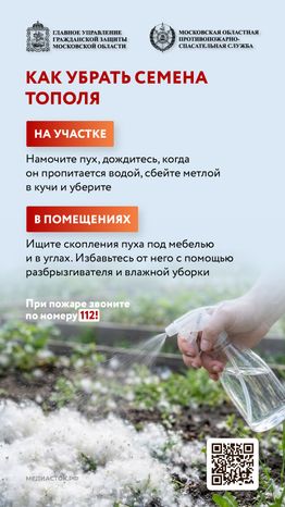 Огнеопасно тополиный пух вертикаль 03
