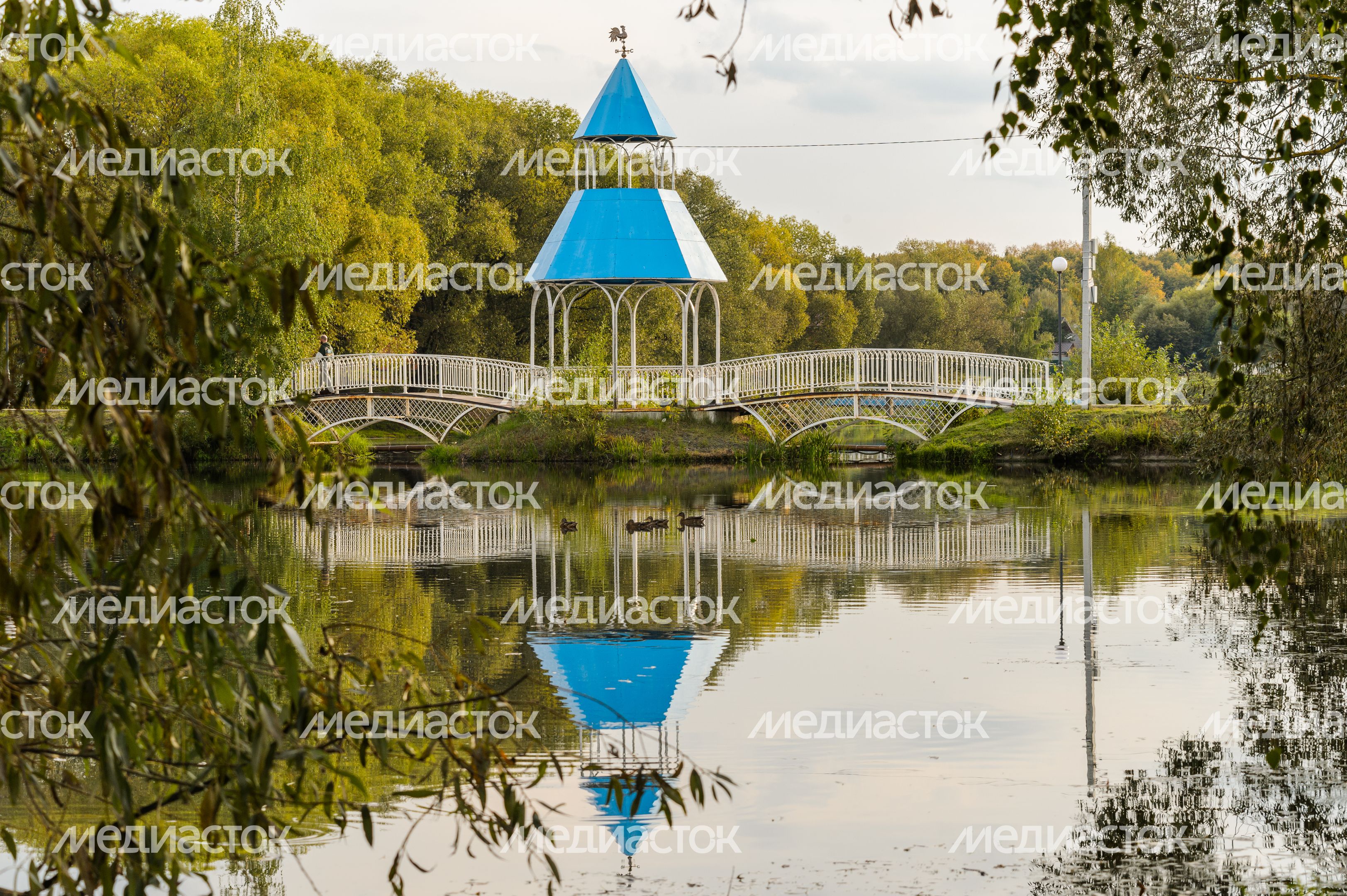Бронницы. Кожурновский пруд Бронницы. Кожурновский пруд