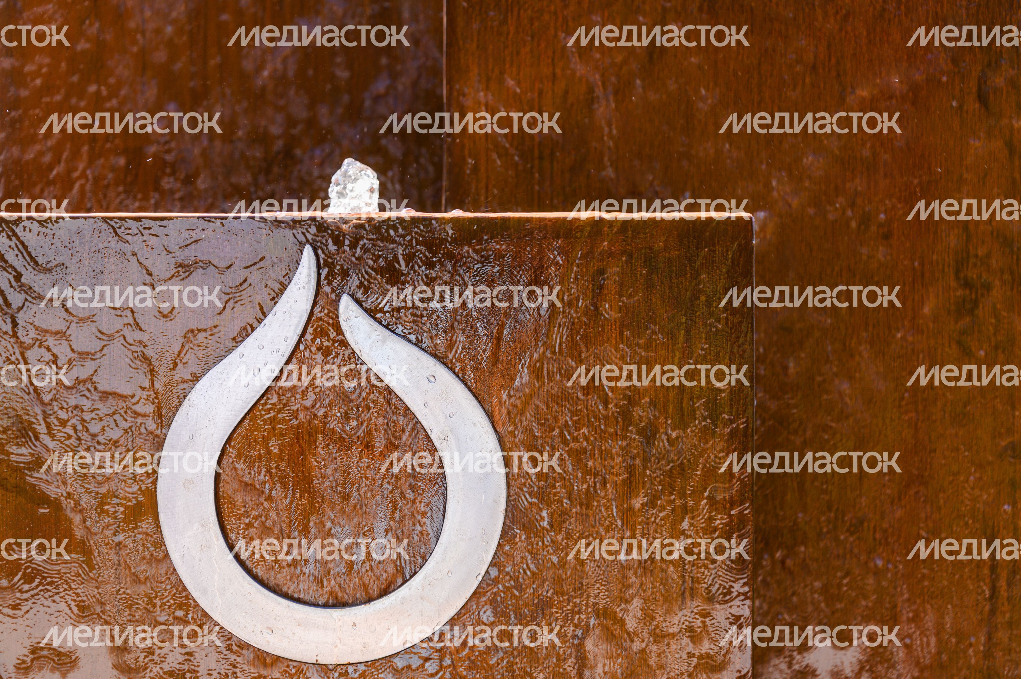 Международная выставка посадочного материала для профессионалов зеленой отрасли 2024 в Раменском округе