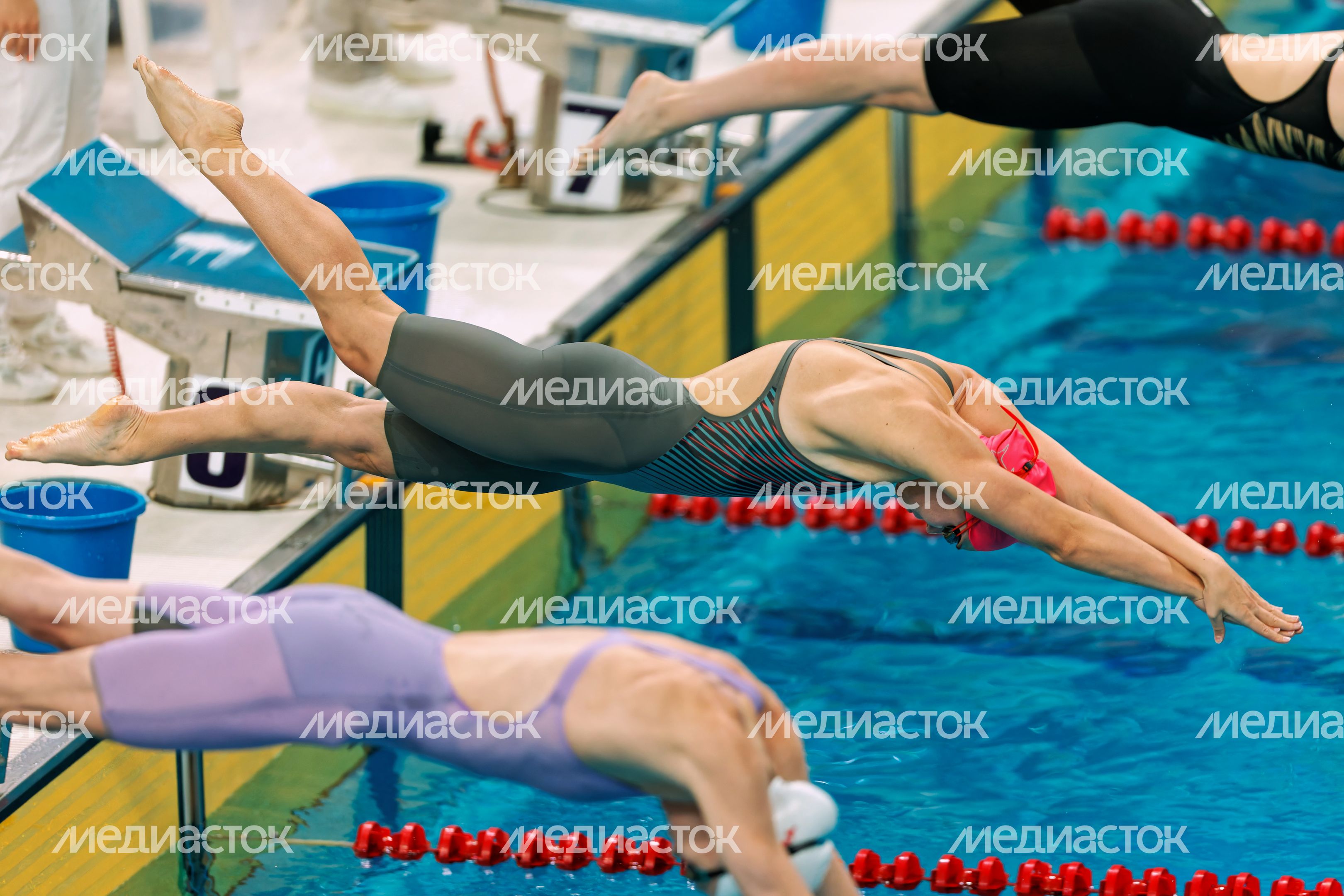 Чемпионат и Первенство Центрального федерального округа по плаванию в Рузе Чемпионат и Первенство Центрального федерального округа по плаванию в Рузе