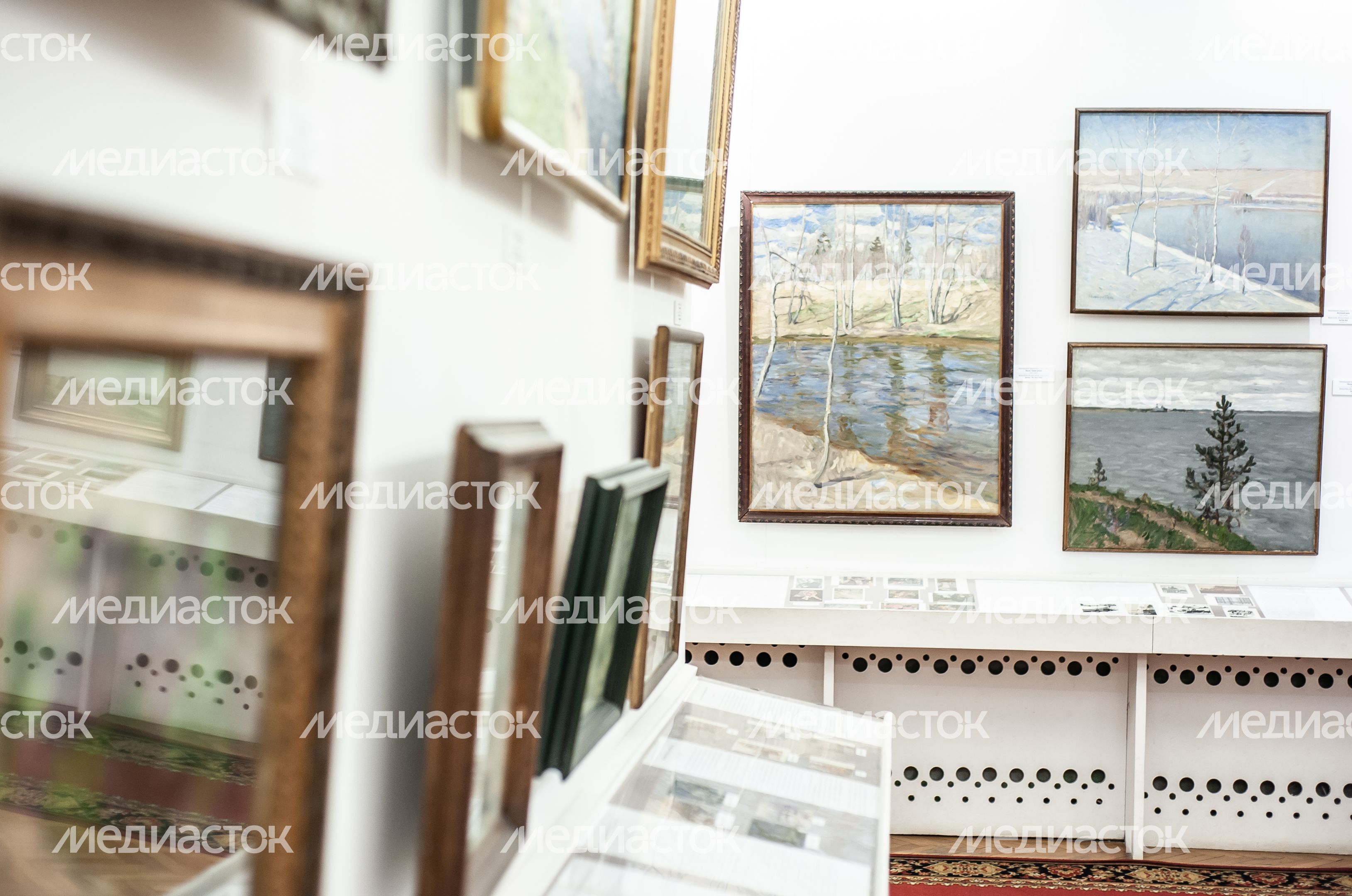 Химкинская картинная галерея имени С.Н.Горшина