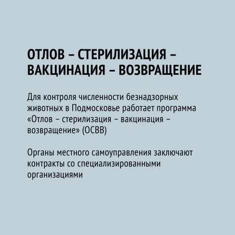 Безнадзорные животные