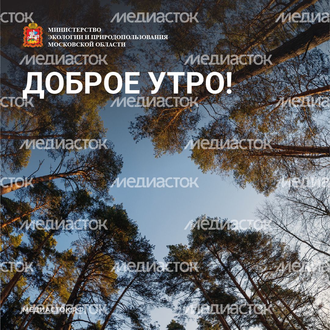 Доброе утро квадрат 05