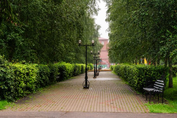 Высоковский городской парк культуры и отдыха «Березовый» в Клину