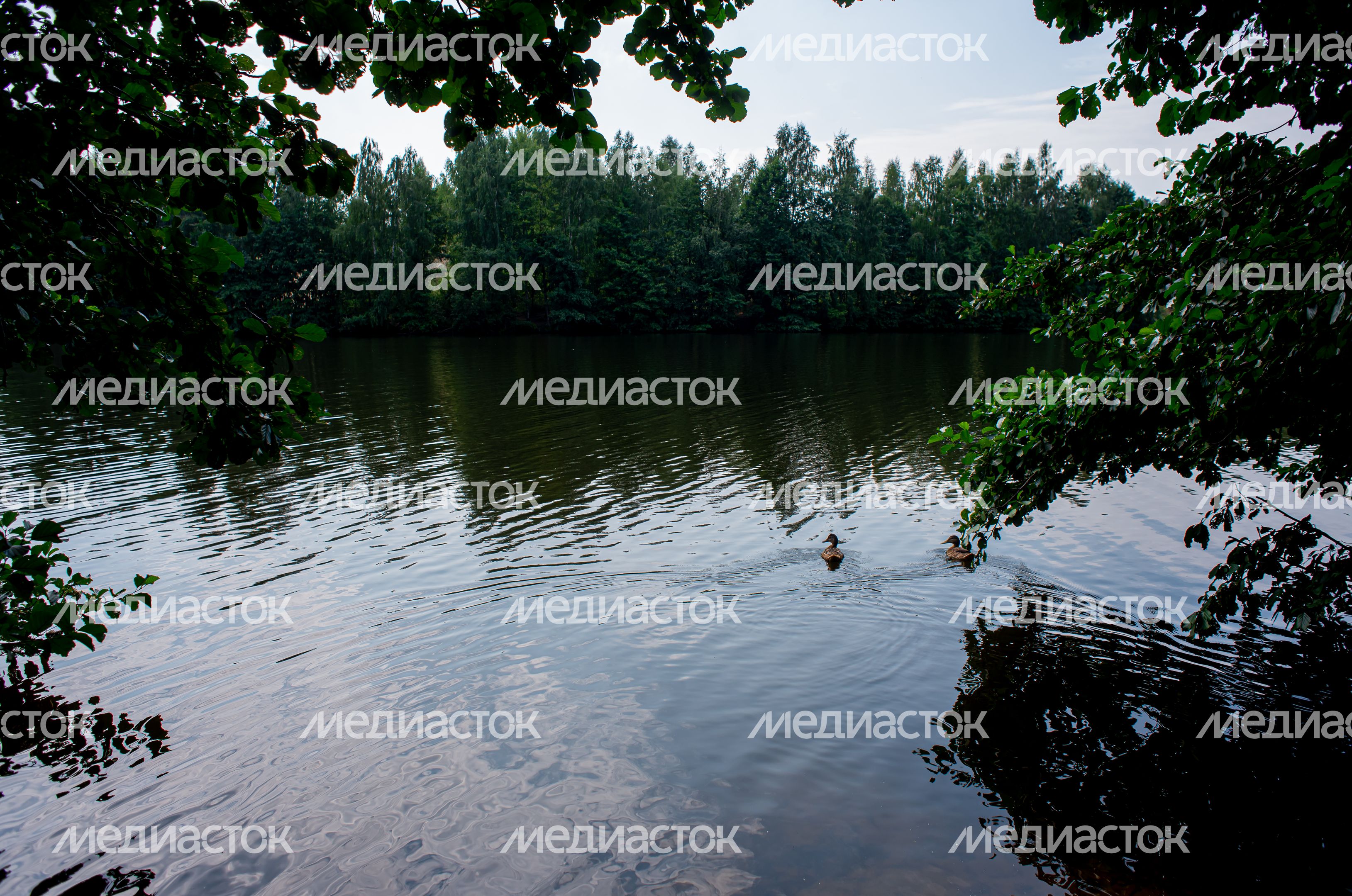 Летние виды города Черноголовка