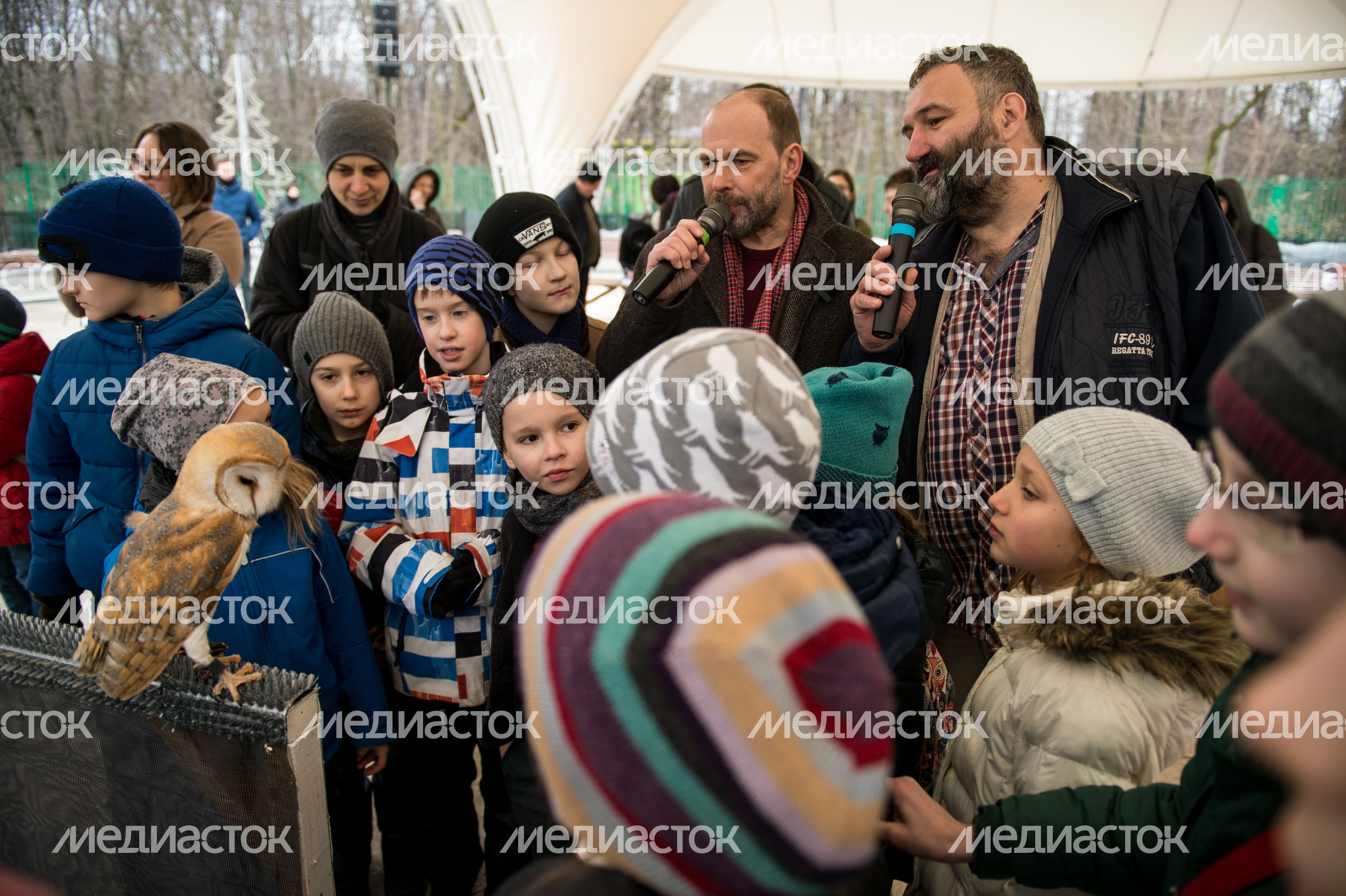 Выбор птицы года в парке Сокольники в Москве Выбор птицы года в парке Сокольники в Москве