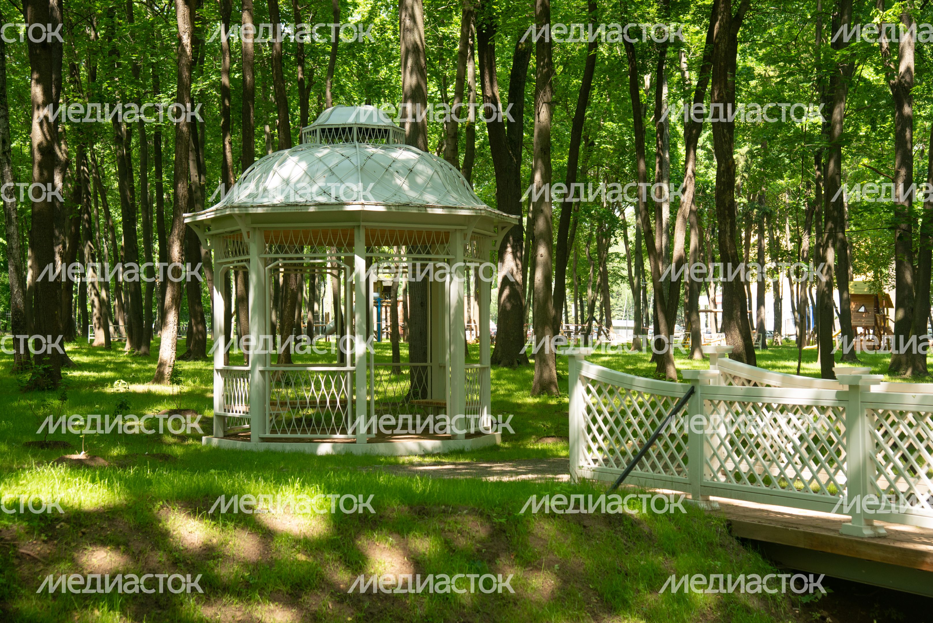 Парк Кривякино