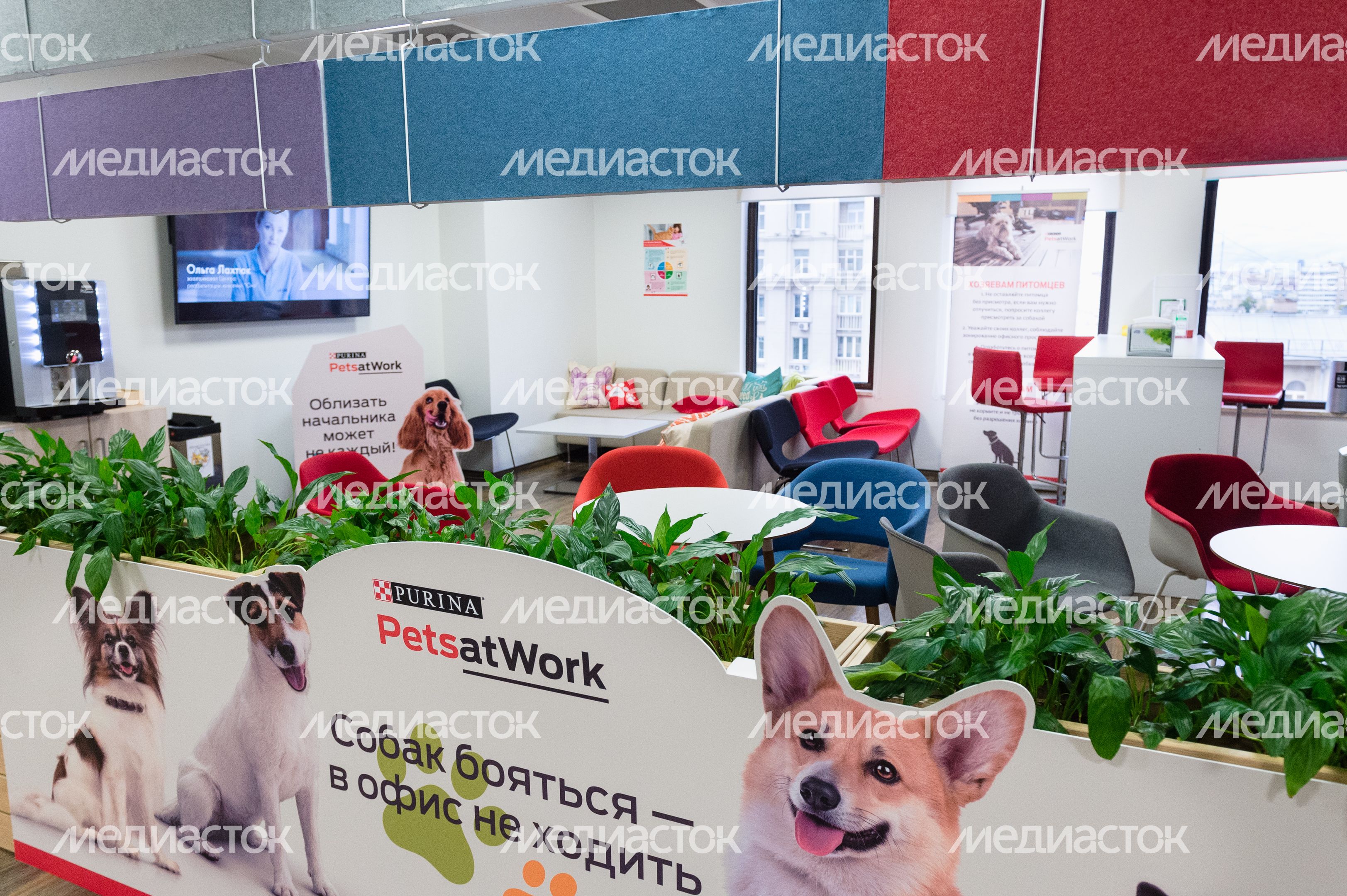Pet‑friendly офис Purina