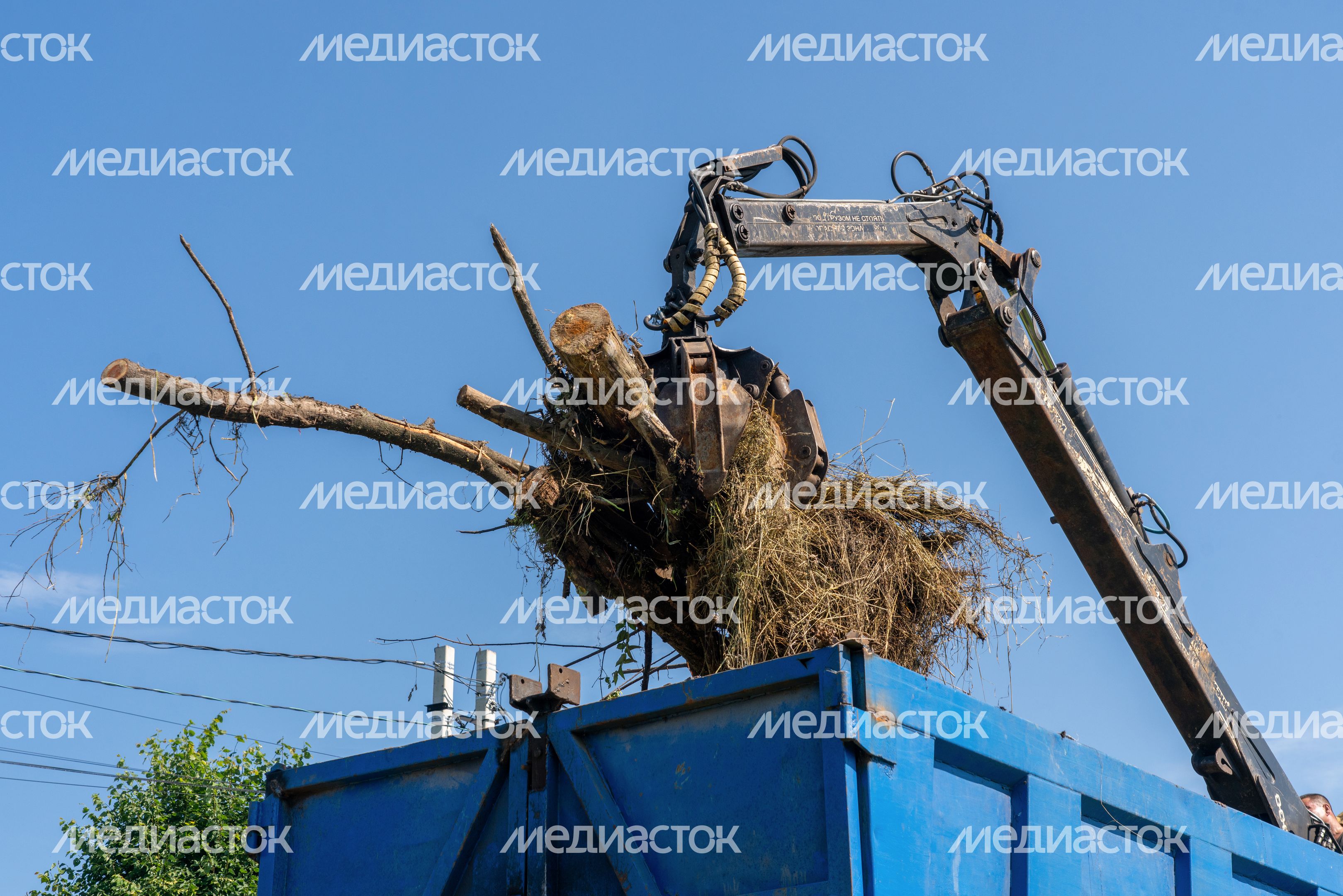 Пруд на реке Березовка у деревни Ивановка Наро-Фоминского округа очистили по программе «100 прудов и озер»