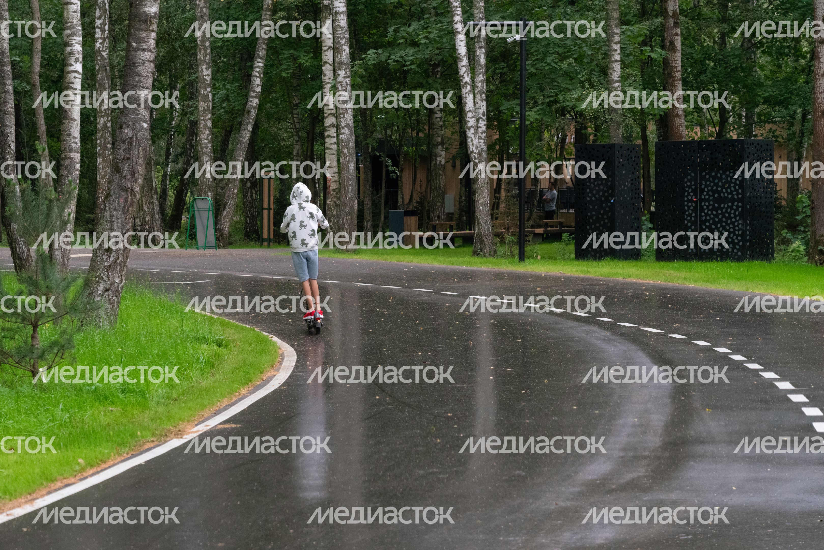 Подольск. Парк «Дубровицкий лес» Подольск. Парк «Дубровицкий лес»