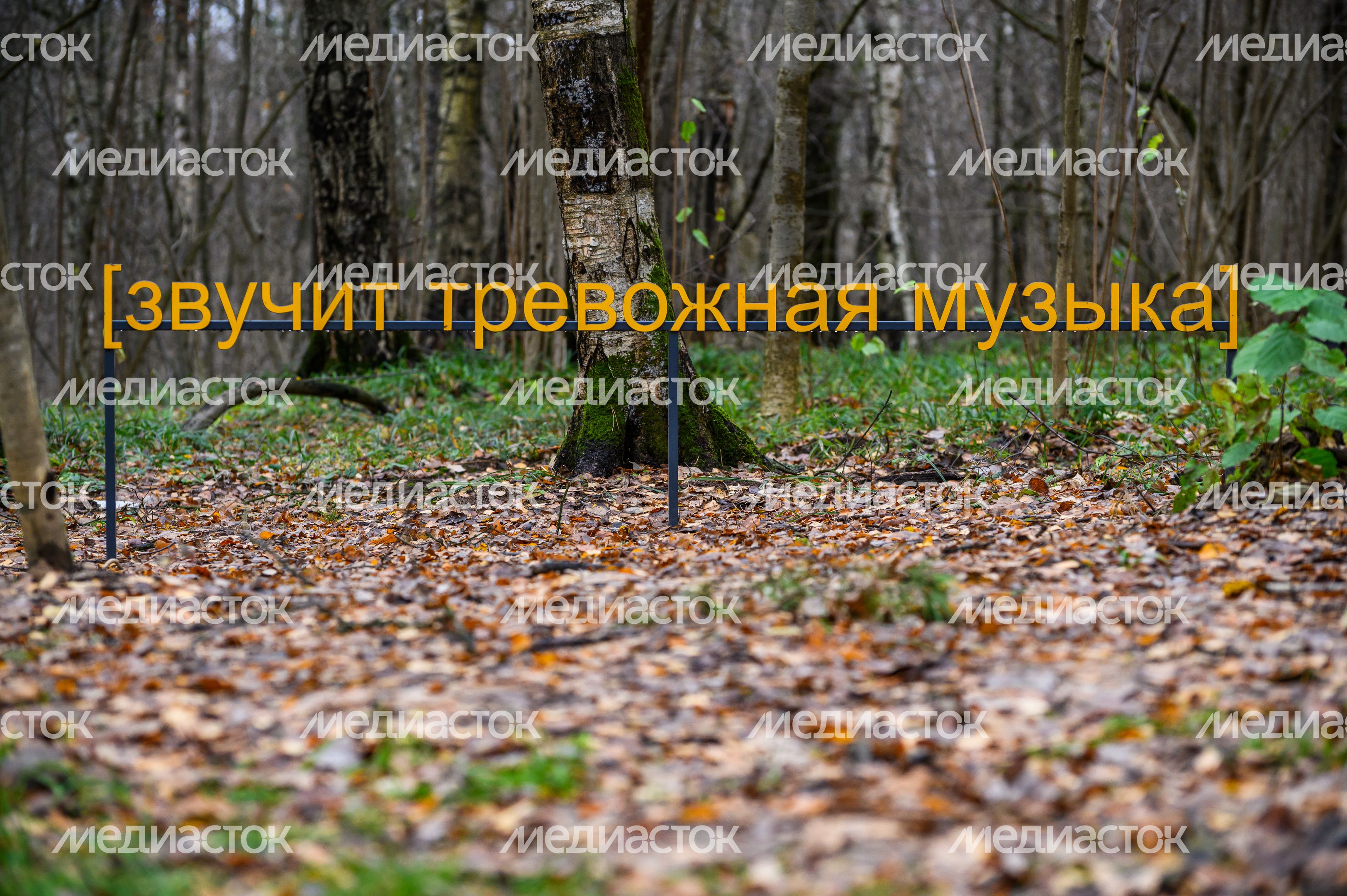Арт-объект «Субтитры» группы «МишМаш» в парке Малевича Арт-объект «Субтитры» группы «МишМаш» в парке Малевича