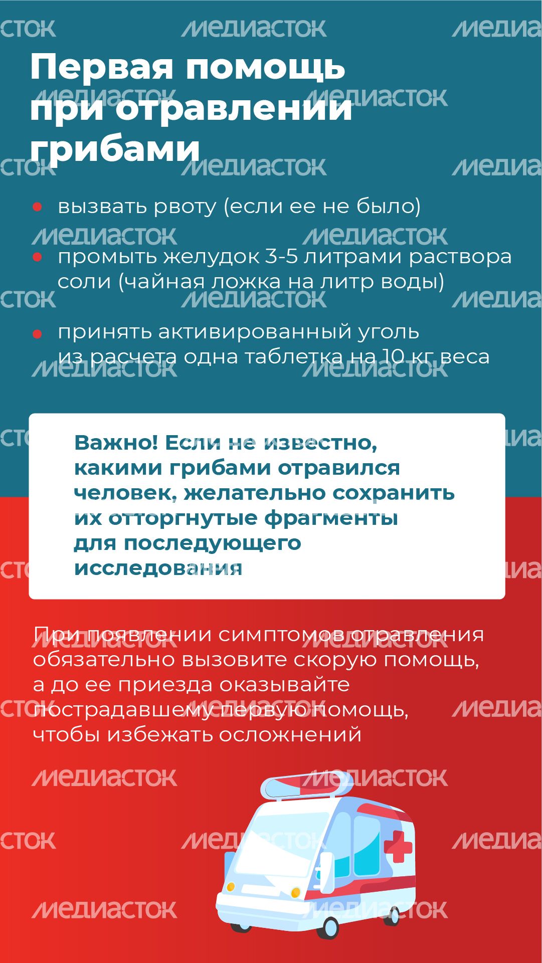 09 Вертикаль_грибы_09-100