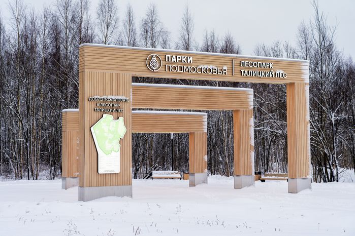 Лесопарк «Талицкий лес» зимой в Клину