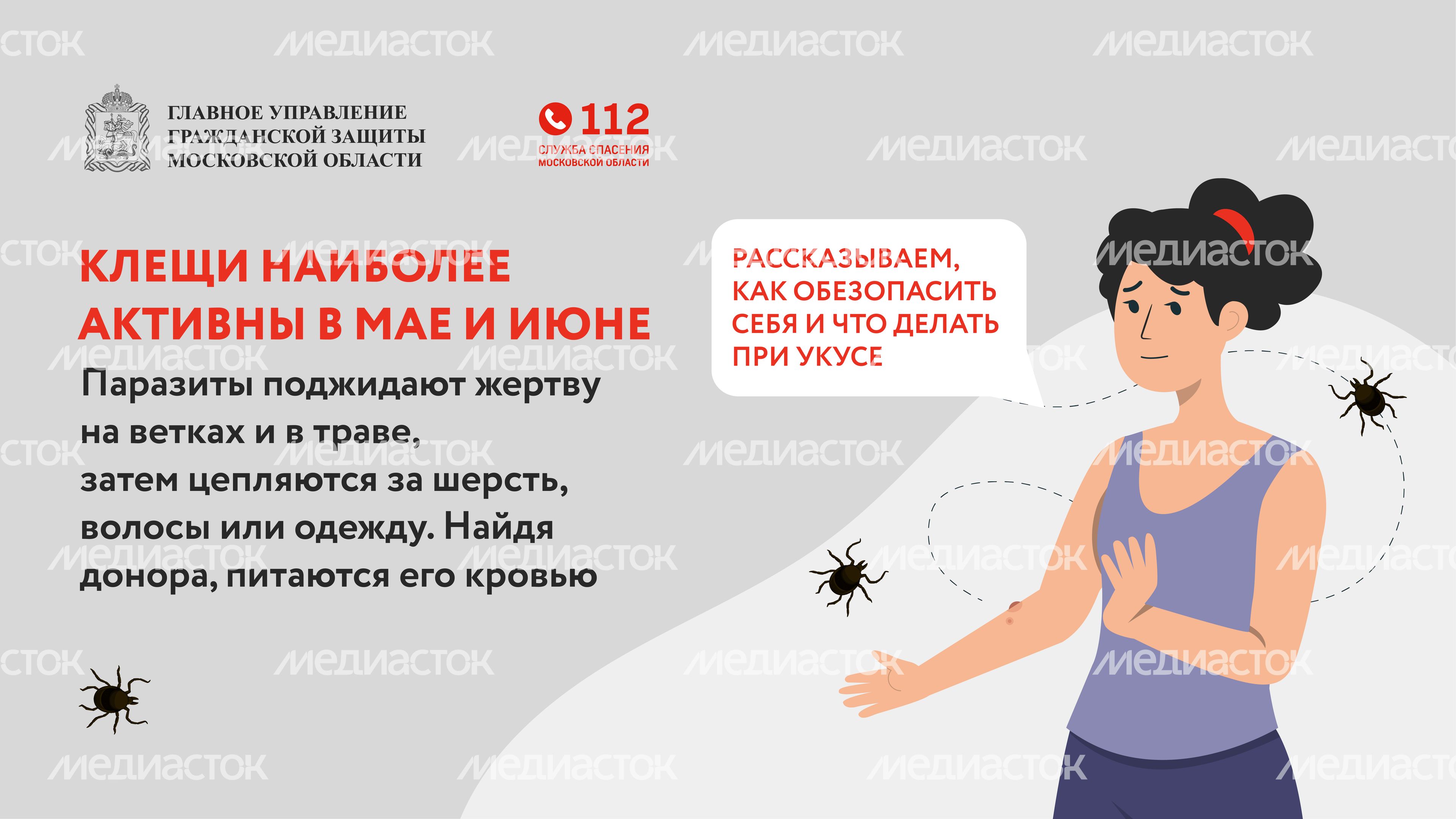 клещи_горизонталь_02