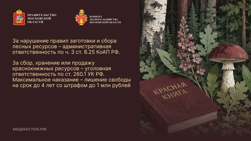 Ягоды, грибы, лекарственные растения горизонталь 10