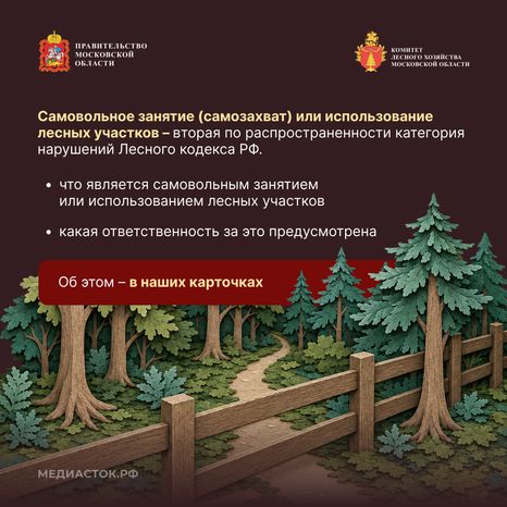 Самовольный захват и использование лесных участков квадрат 02