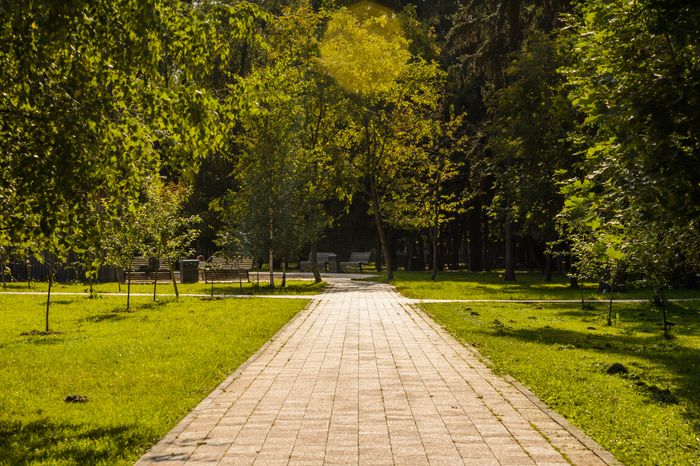 Балашиха. Пестовский парк