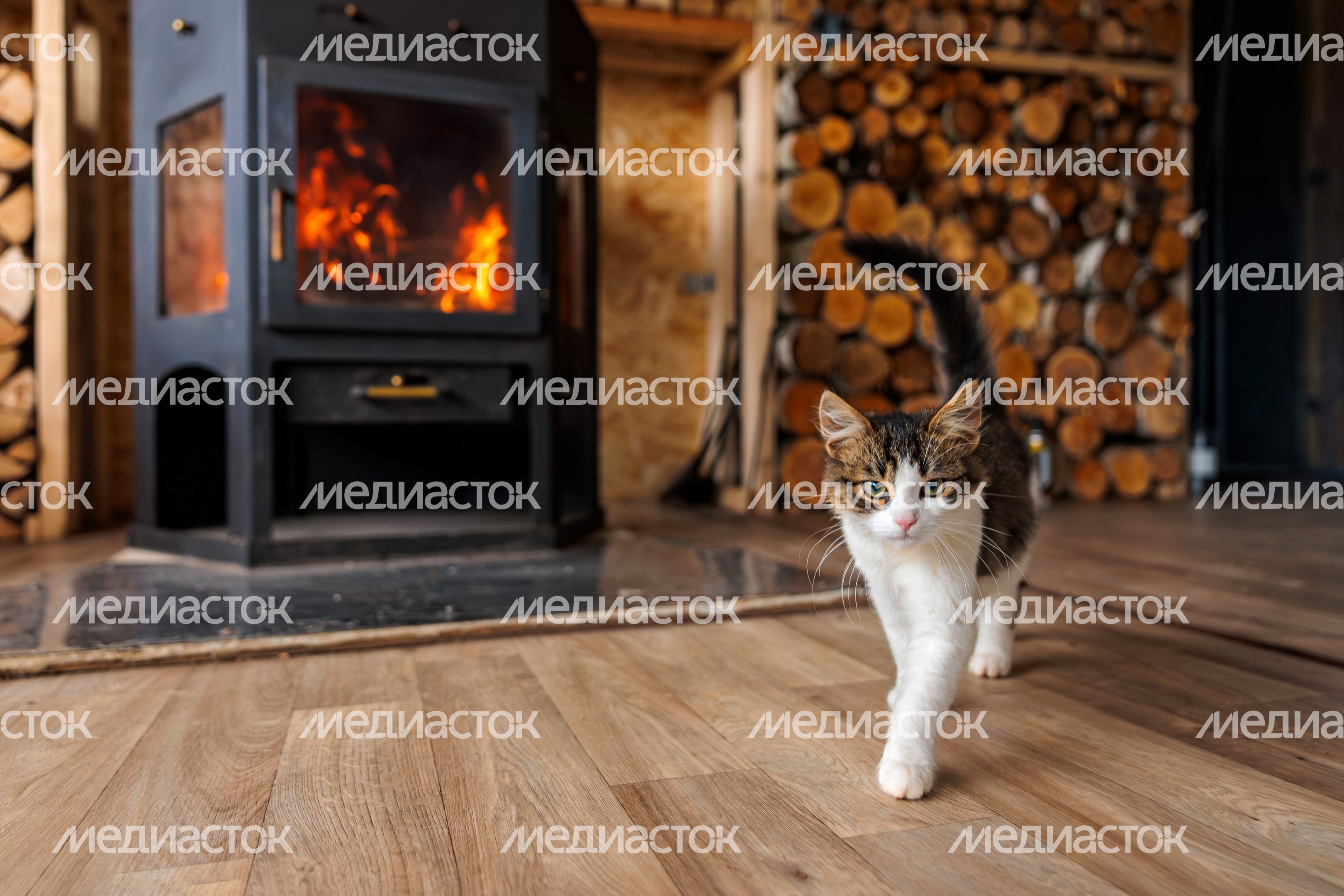 Котенок идет по полу у камина