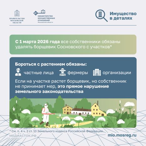 Борьба с борщевиком квадрат 02