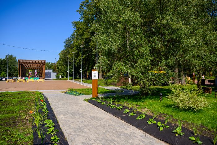 Парк "Скитские пруды" в Сергиевом Посаде. Лето