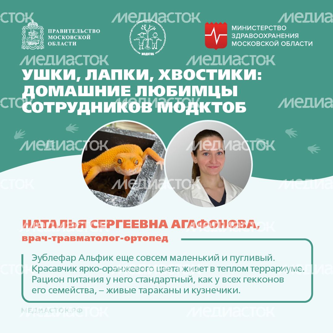 Ушки, лапки, хвостики квадрат 05 Ушки, лапки, хвостики квадрат 05