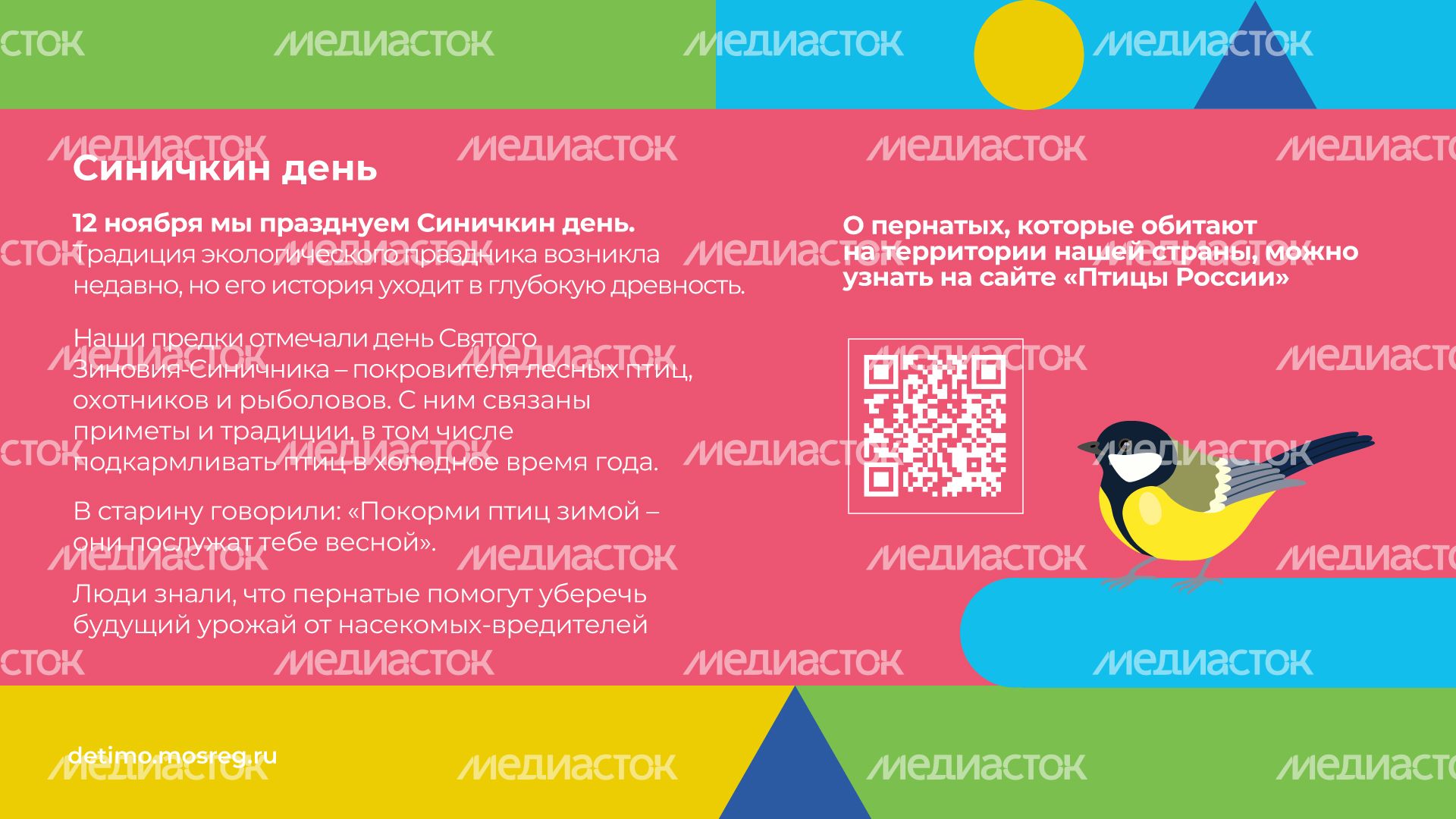 синичкин_день_горизонталь_09.jpg