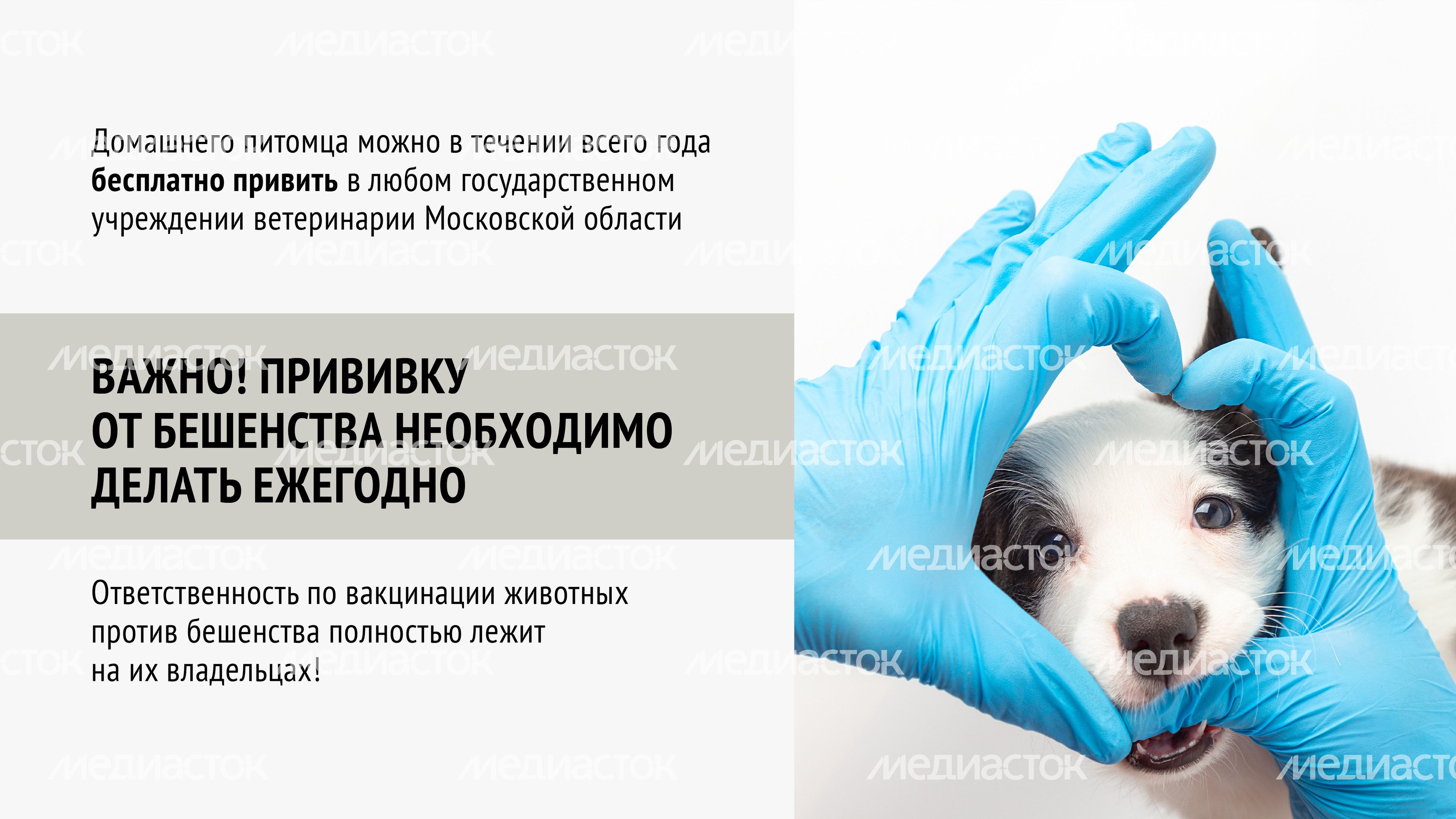 Вакцинация
