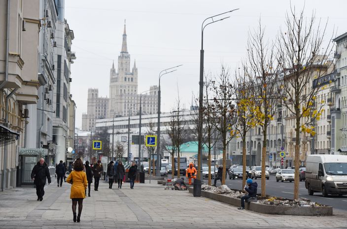 Посадка деревьев на Садовом кольце