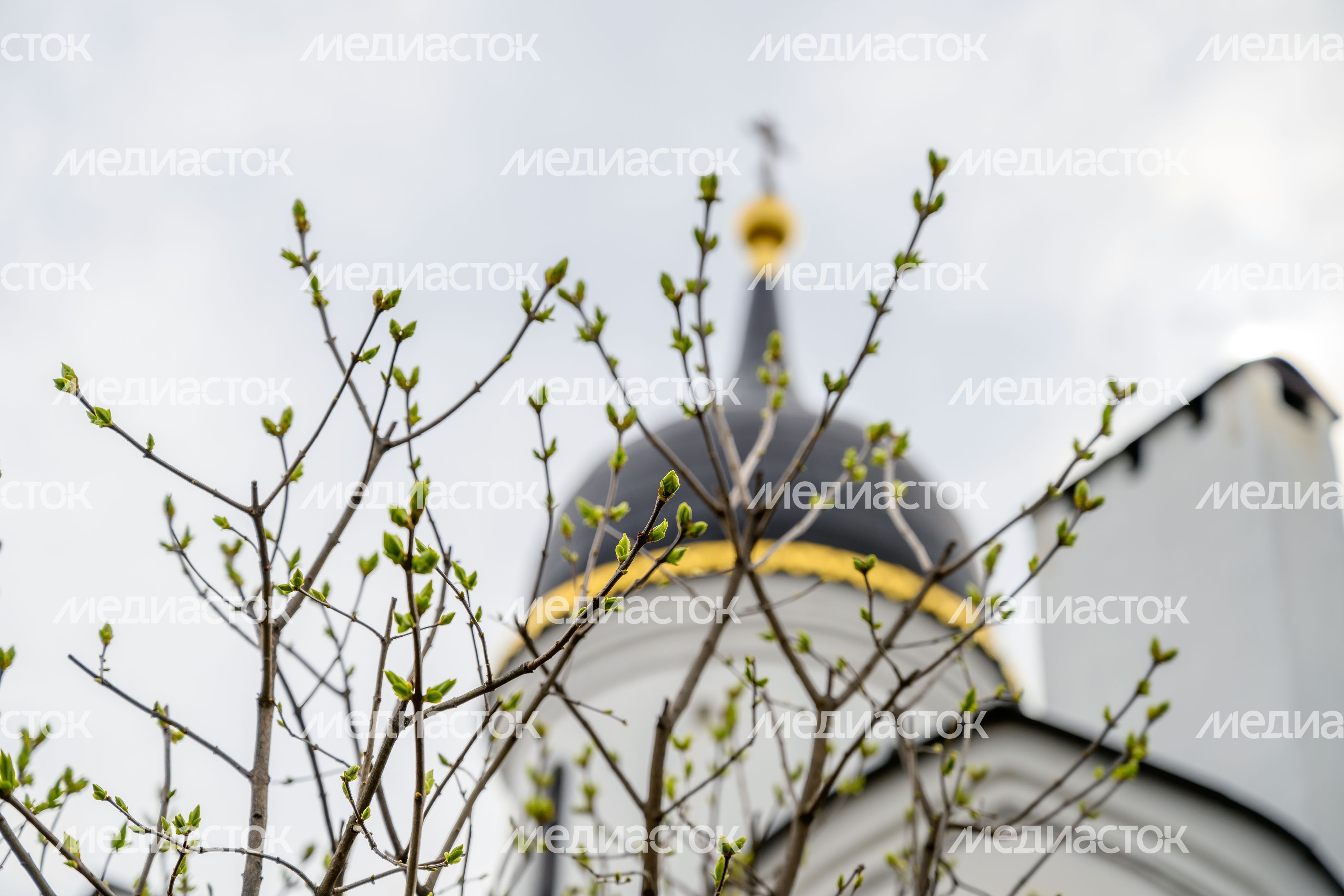 Церковь Казанской иконы Божией Матери в поселке Радужный округа Коломна Церковь Казанской иконы Божией Матери в поселке Радужный округа Коломна