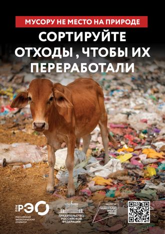 Seria 9 animal poster _A2_4