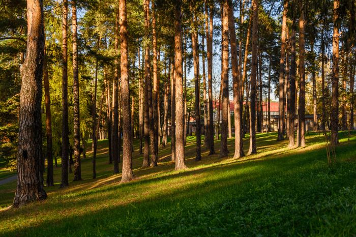 Жуковский парк культуры и отдыха осенью