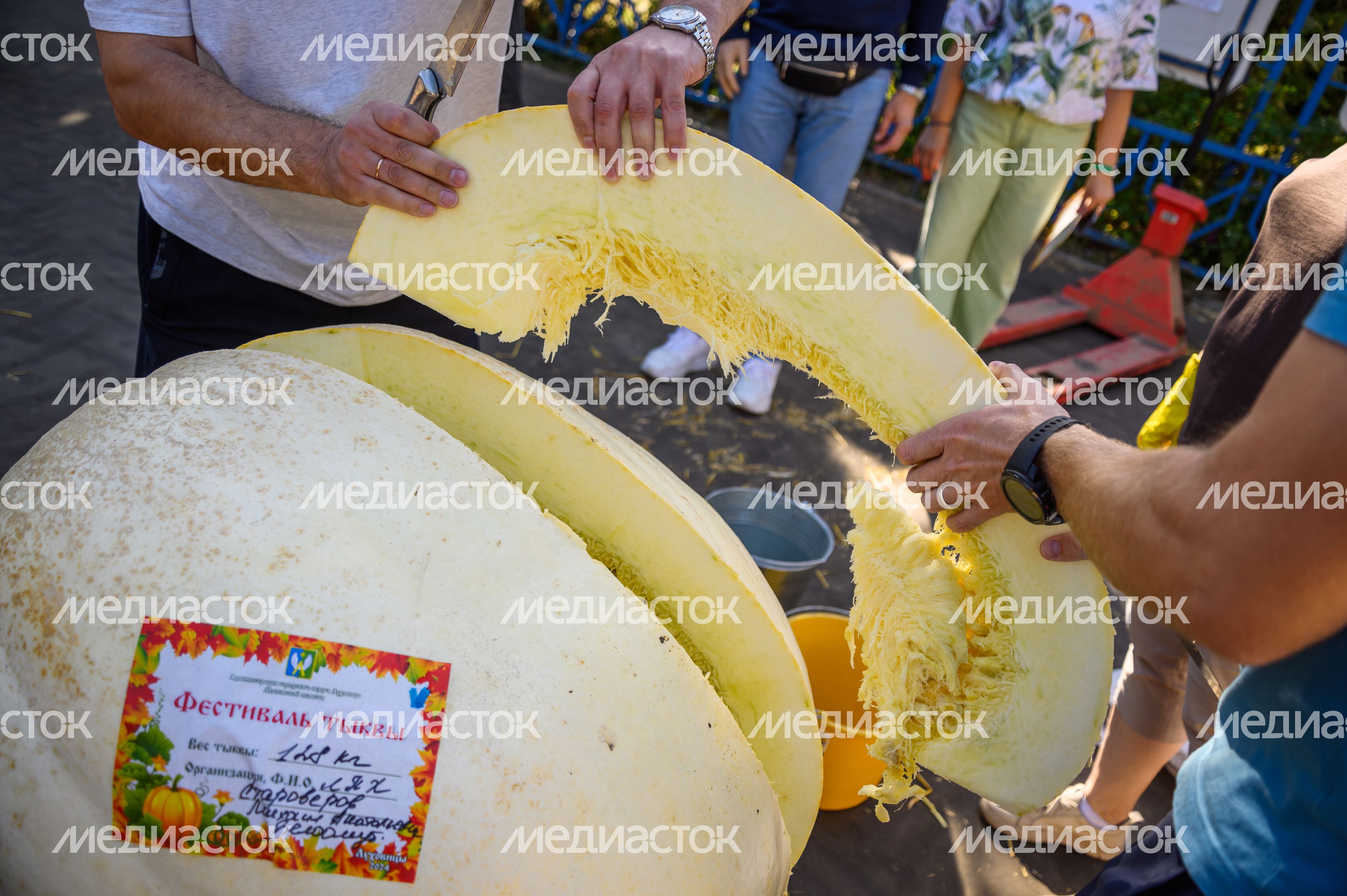 Выставка-ярмарка «Дары Подмосковья» в Луховицах Выставка-ярмарка «Дары Подмосковья» в Луховицах