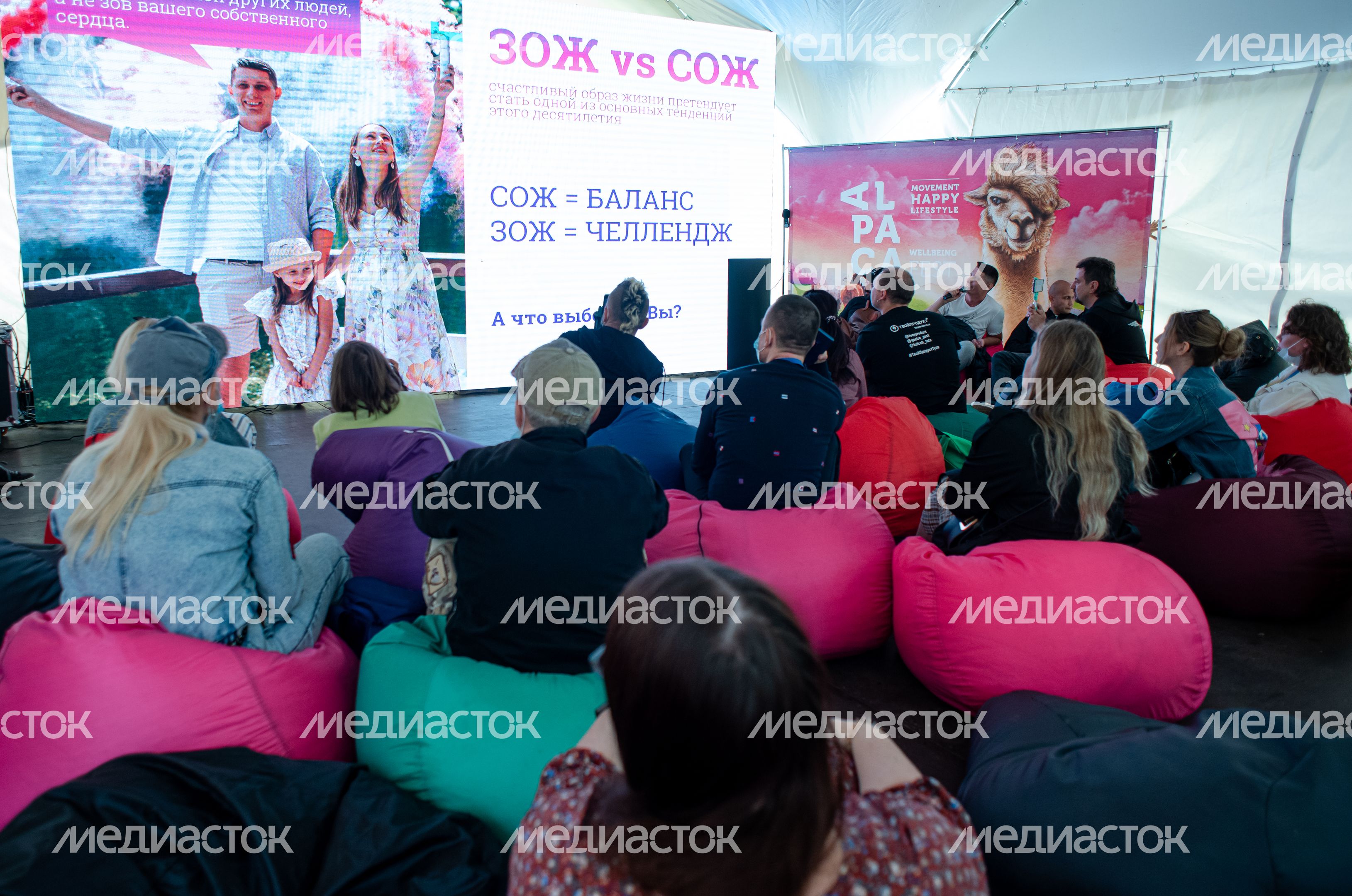 Гастрономический фестиваль Alpaca Wellbeing Fest