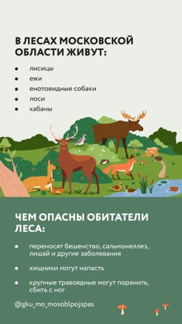 Вертикаль Безопасность в лесу 03.jpg