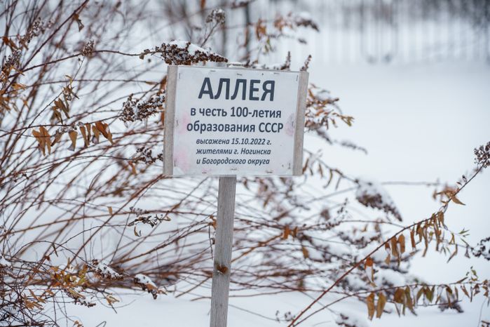 Богородский. Ногинск. Глуховский парк. Зима