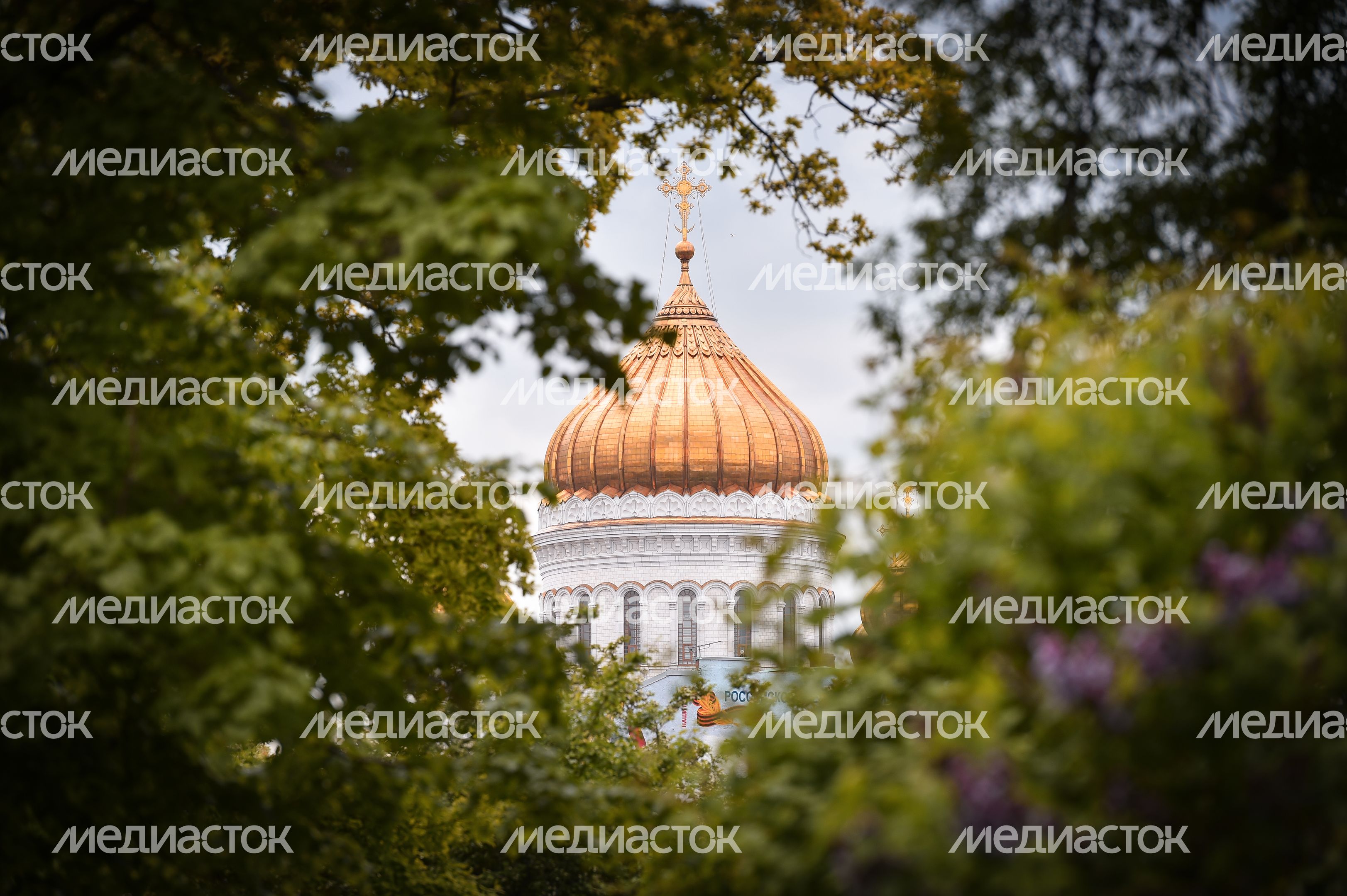 Повседневная жизнь в Москве в период цветения Повседневная жизнь в Москве в период цветения