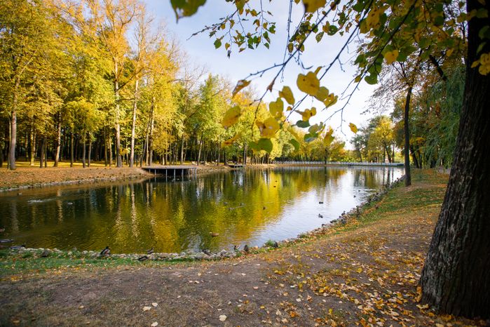 Воскресенск. Парк усадьбы Кривякино