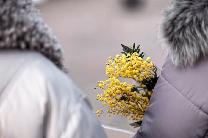 Фестиваль «Весна, цветы и комплименты» к празднику 8 Марта в парке имени В. Талалихина в Подольске